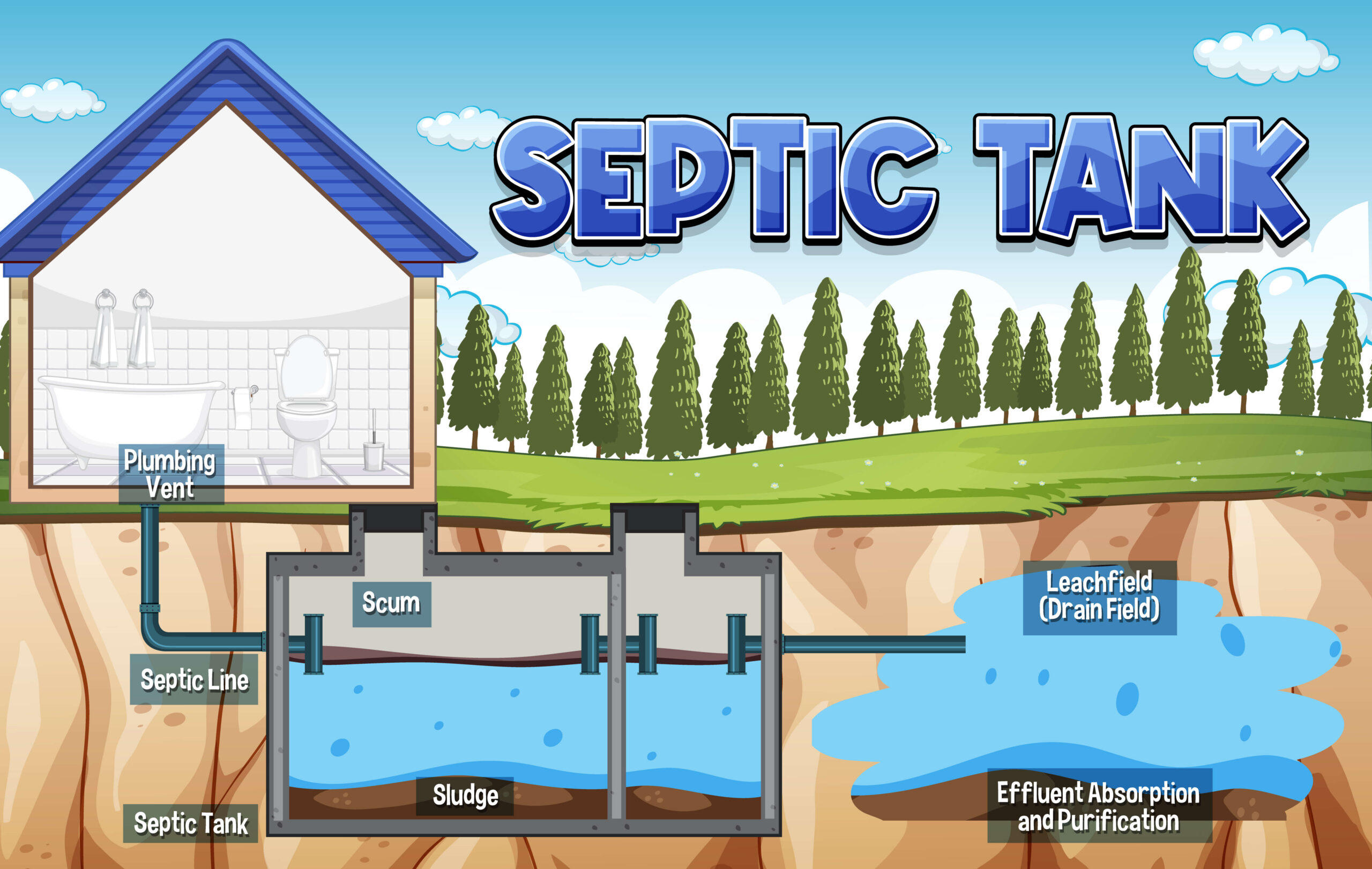 The Importance of Maintaining a Healthy Septic System 2024 (1) Maintaining a healthy septic system in 2024 - Tampa Bay Plumber