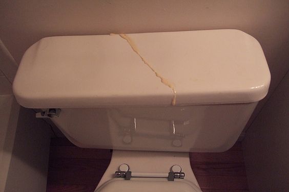 Fix a Cracked Toilet Tank – Tampa Bay Plumbing How to Fix a Cracked Toilet Tank | The Complete Guide by Tampa Bay Plumbing