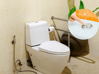 Advantages & Disadvantages of Dual Flush Toilets TampBayPlumbing Advantages & Disadvantages of Dual Flush Toilets Tamp Bay Plumbing